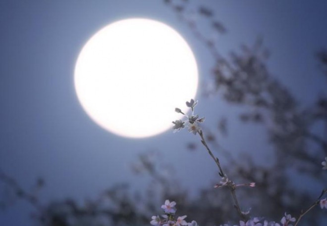 【必見】満月・ブルームーンが出現、各地から桜と満月の綺麗な写真　次は2020年10月