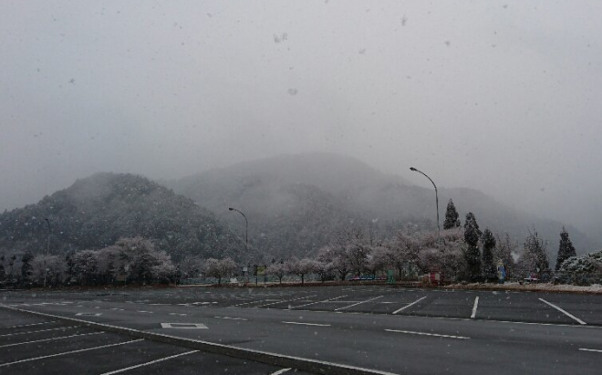 【注意】関東平野部でも積雪、１１日も東京で雪が継続！路面凍結や交通の乱れに注意！冬用タイヤ・チェーン必須に！