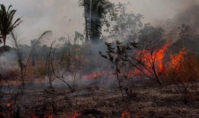 【ヤバイ】南米アマゾンで大規模な森林火災！7万2000件以上の火災、地球の肺に火！気候変動に悪影響の恐れ