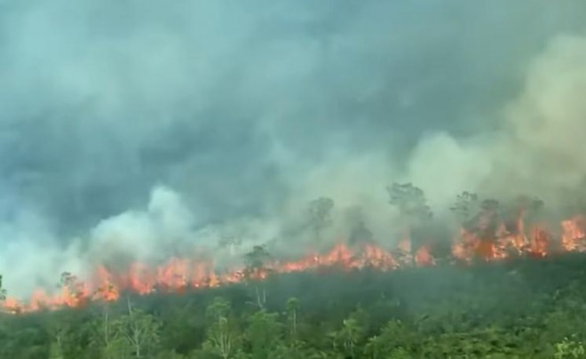アマゾンの森林火災、大統領支持者が放火した疑い高まる！地元検察が捜査へ　60人がSNSで連携して放火か