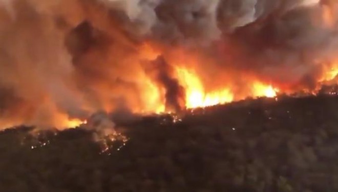 オーストラリア史上最悪の森林大火災、動物の犠牲が５億匹に！家屋の焼失は１３００棟以上　非常事態宣言を発令