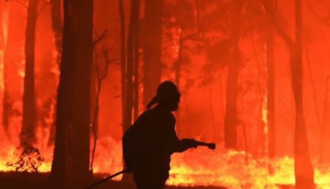 オーストラリアの森林大火災、野生動物の犠牲が10億匹以上に！未だに鎮火せず・・・　自衛隊の支援部隊も活動開始