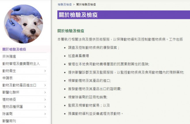 犬から新型コロナウイルスを検出、香港で初確認！複数の検査で陽性反応　ペットにも注意喚起へ