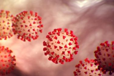 ハロウィンに警戒感、CDCが新型コロナウイルス対策強化を呼び掛け！日本でも10月下旬に向けて準備
