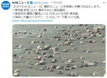 ハマグリが地震予知？千葉の海岸で大量のハマグリ⇒数日後に茨城県沖でM5.8の強い地震発生！