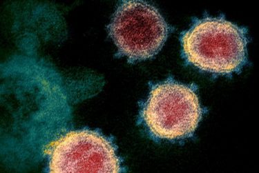 新型コロナウイルスの「指定感染症」を延長へ！感染状況から政府判断　将来的には新型インフルと同程度に見直しも