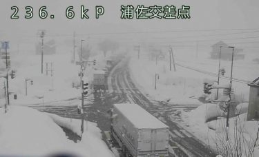 【災害】新潟の国道１７号で立ち往生！約6キロで動けず　大型車が雪の大通りに多数