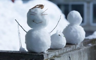 【注意】東京都で積雪予想、本日夜に雪が積もる恐れ　交通機関の乱れに警戒を！関東甲信は全域で雪