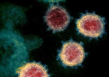 新型コロナウイルスの死者数、日本全国で5000人超える！大阪府が最多826人　12月以降で一気に激増