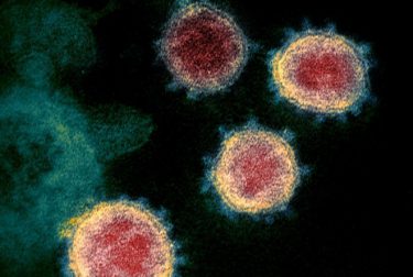 新型コロナウイルス、日本国内の死者数が１万人超える！大阪府で新たに９２４人感染　月曜日の過去最多を更新！