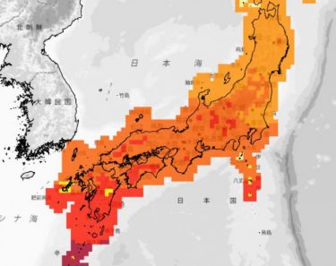 【猛暑注意】全国各地で真夏日、東京都心でも2日連続！あす10日も北日本で30℃予想　