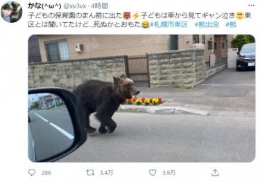 札幌市に熊が出現して騒然！道路を横断する熊の映像が！自衛隊の駐屯地にも侵入　4人が怪我、ハンターがライフルで駆除