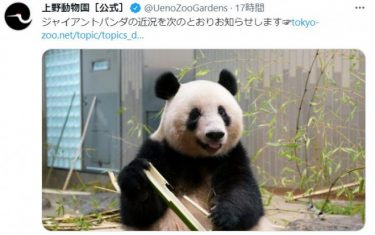 【速報】ジャイアントパンダ「シンシン」が２頭の子を出産！