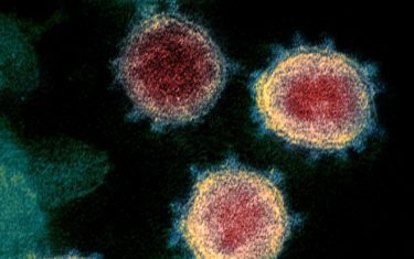 オミクロン株、世界40カ国以上で感染確認！風邪ウイルスの遺伝物質を取得した可能性も　ヒトの免疫システム回避に特化か