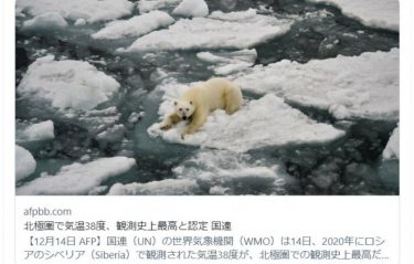 北極圏で気温38度を観測とのニュース、悪質な印象操作か　観測したのは6月20日　内陸部なのに漂流するホッキョクグマ