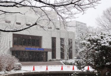 東京都で積雪を観測！今夜遅くまで大雪の見通し　最高気温は19年ぶりの低さ　各地から銀景色が相次ぐ