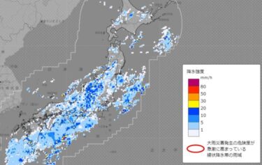 雨で気温が急低下、11月並みの寒さに！東京の最高気温も10℃台へ　急激な温度変化に注意を