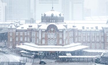東京で一時大雪警報、東京都心やディズニーランドが銀世界に！雪だるまを作れるほどの積雪も！明日は気温急上昇で注意