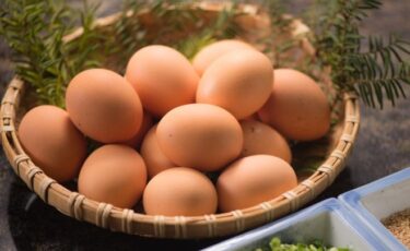 卵価格が高騰、僅か1年で約2倍に！鳥インフルや戦争で価格上昇が続く　外食産業にも大きな影響