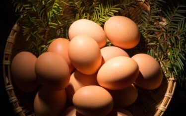卵価格の高騰続く　5月の平均価格350円で前年比59.8％アップ！ニチレイフーズが卵商品の値上げも
