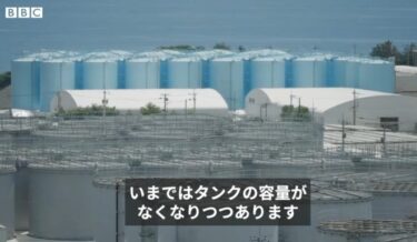 福島県沖の検査、トリチウムは検出基準以下と政府発表！今年5月には福島第一原発の港湾内でクロソイから基準値超1万8000ベクレル