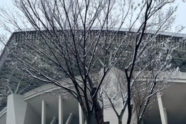 【騒然】東京で積雪観測、3月の大雪に交通網が乱れる！路面凍結も確認　明日からは気温急上昇　日本海側は大雪続く