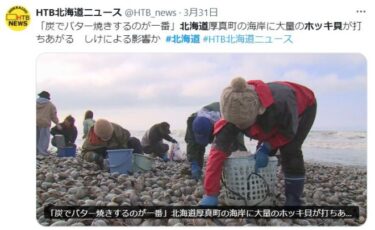 【異常】今度は大量のホッキ貝が海岸に漂着！海に異変？原因は不明のまま　北海道