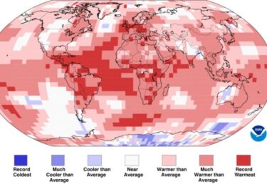 海水温の上昇止まらず！日本付近は平年よりも高く、今年は熱帯性低気圧が増加か　「地球の生態系に重大な問題」